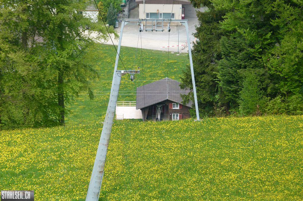 k-P1100416.JPG