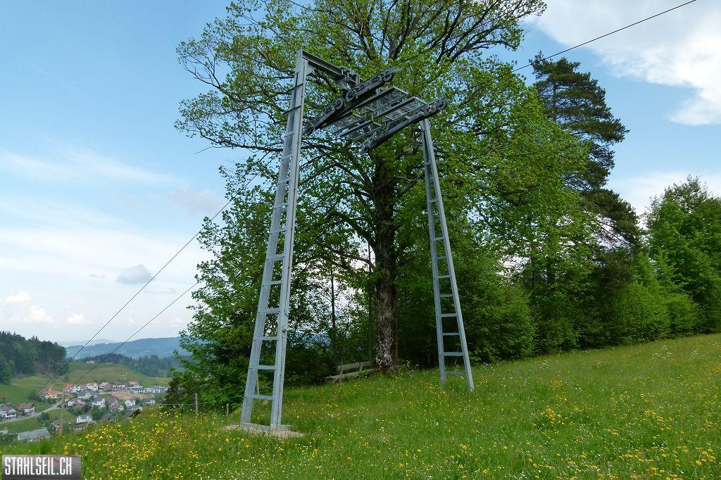 k-P1100418.JPG