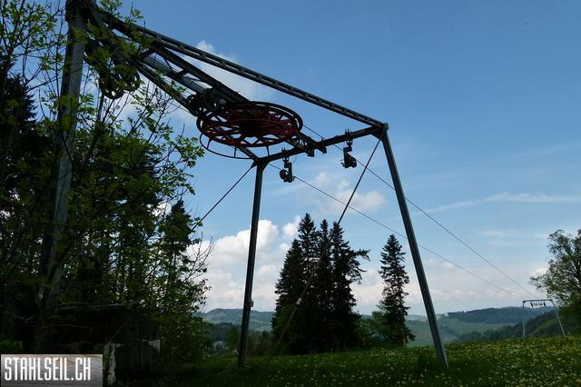 k-P1100433.JPG