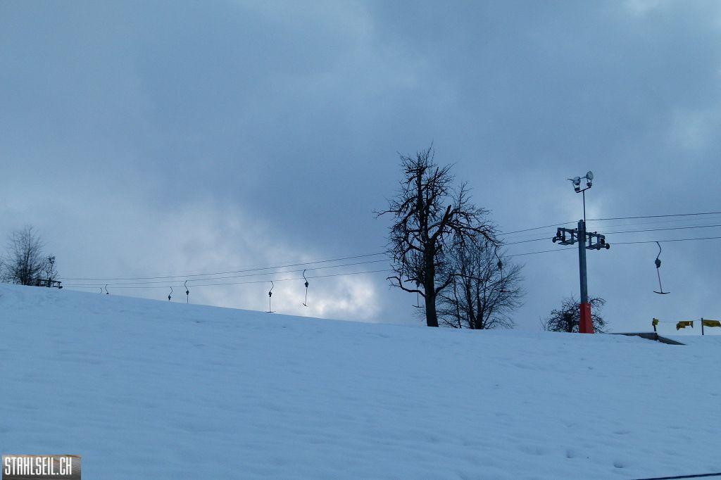 k-P1230963.JPG