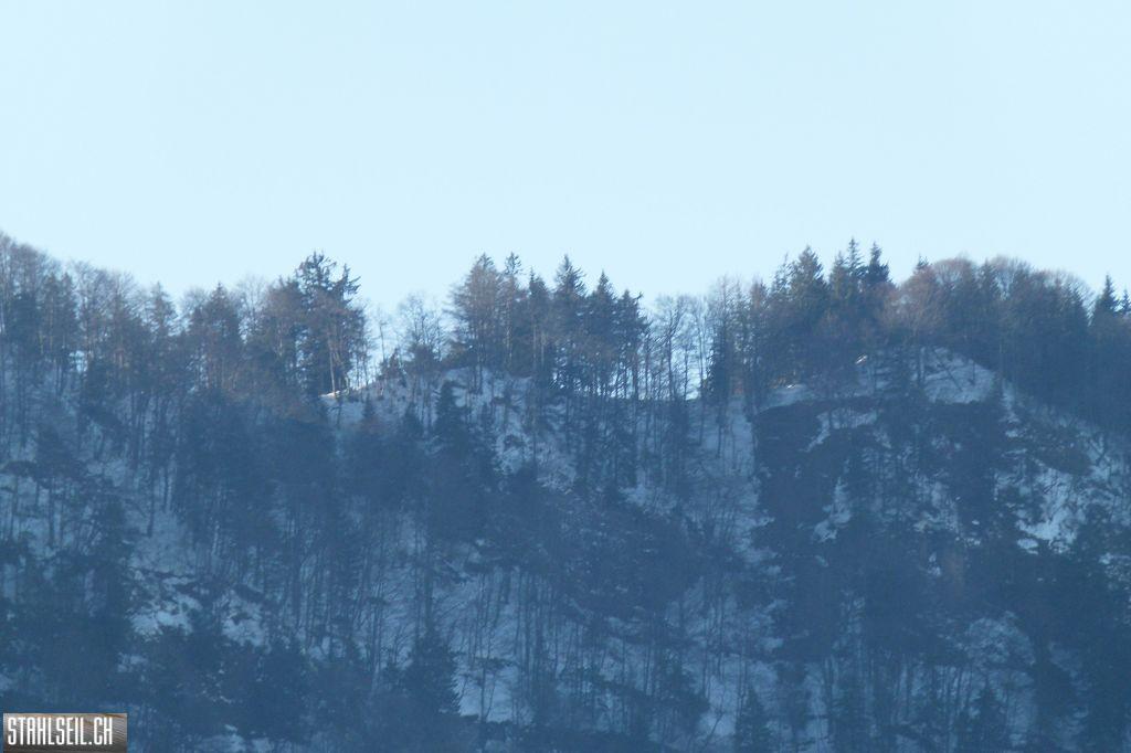 k-P1240587.JPG