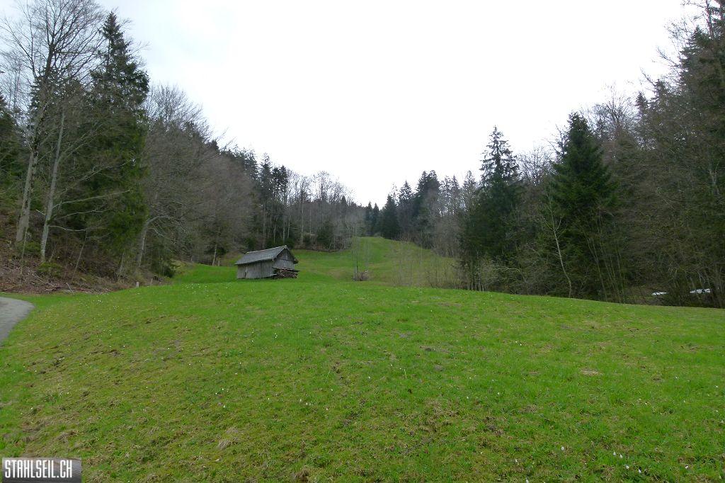 k-P1320954.JPG