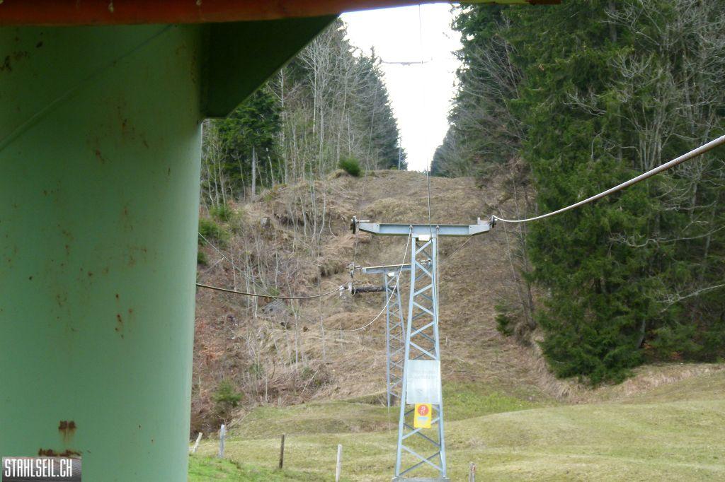 k-P1320968.JPG