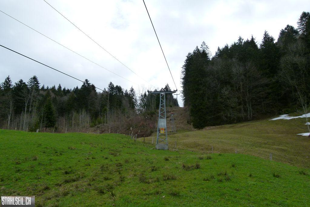 k-P1320984.JPG