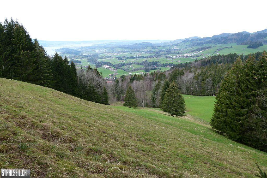 k-P1330004.JPG