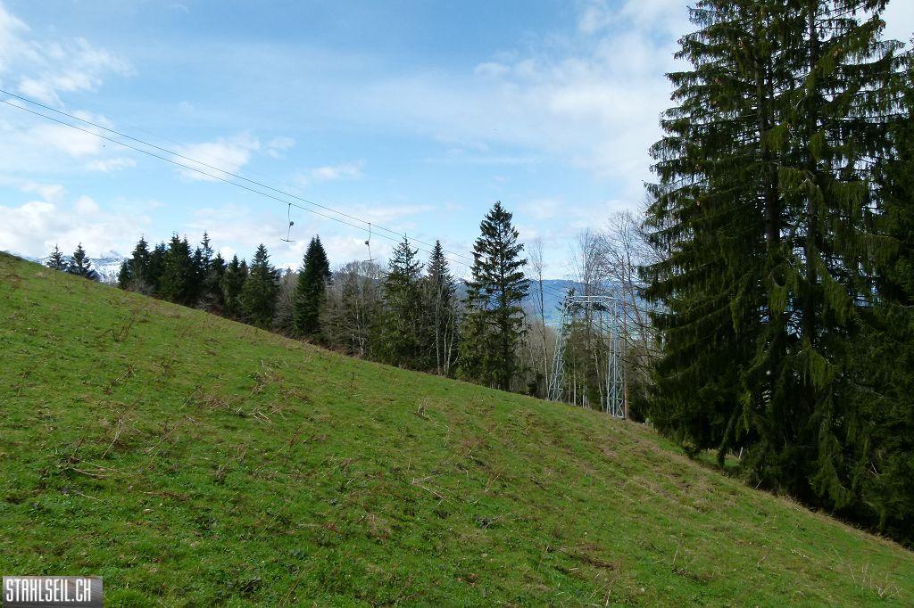 k-P1330006.JPG