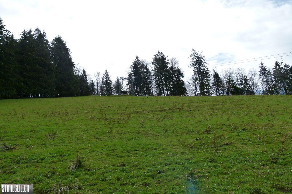 k-P1330007.JPG
