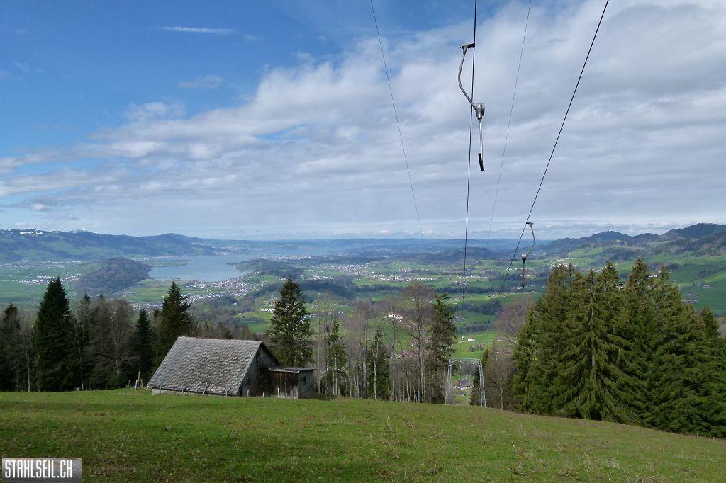 k-P1330052.JPG