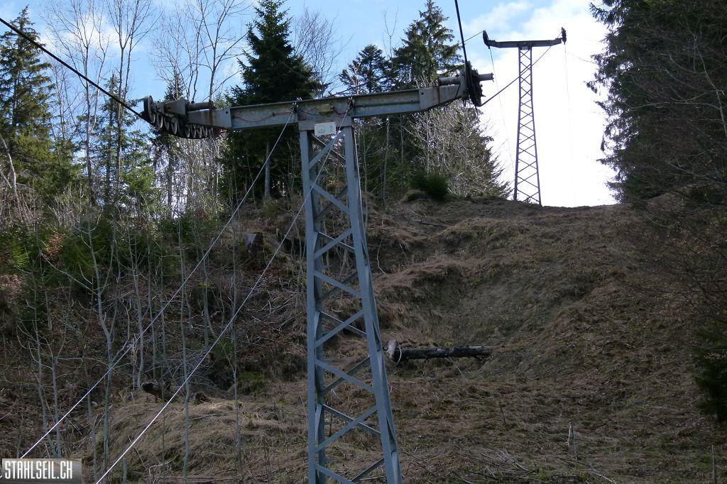 k-P1330068.JPG