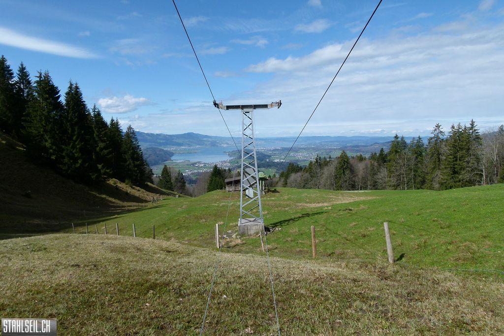 k-P1330069.JPG