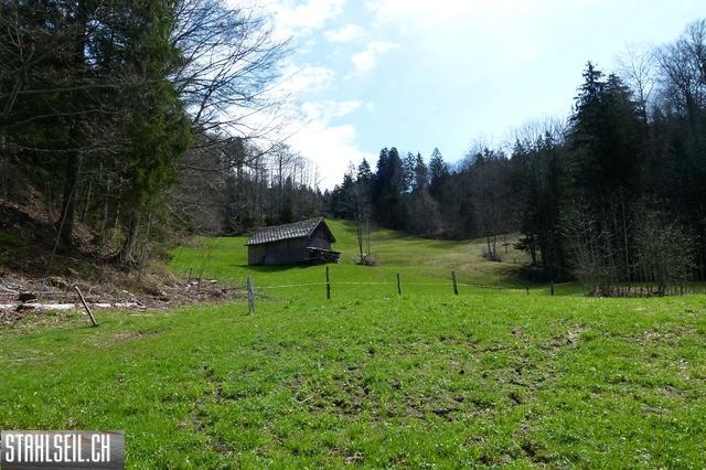 k-P1330116.JPG