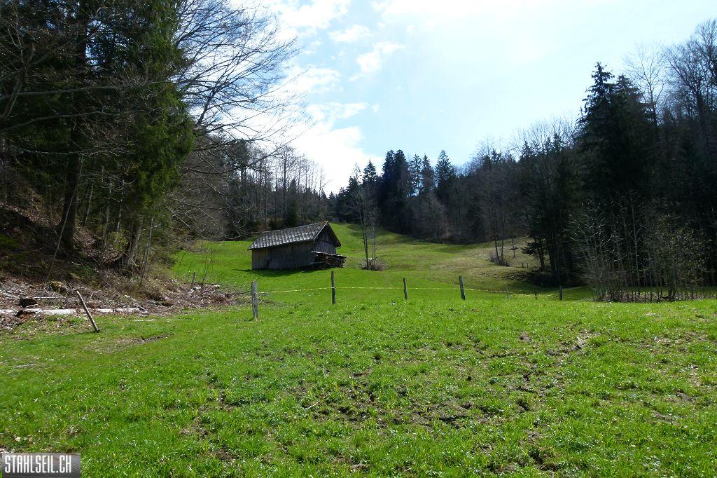 k-P1330116.JPG