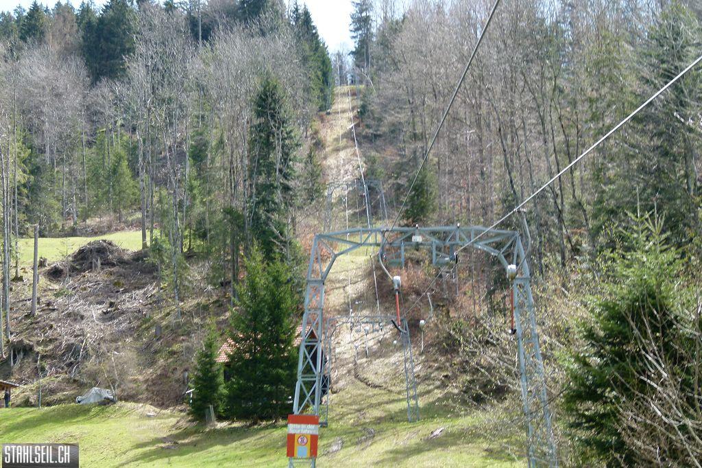 k-P1330126.JPG