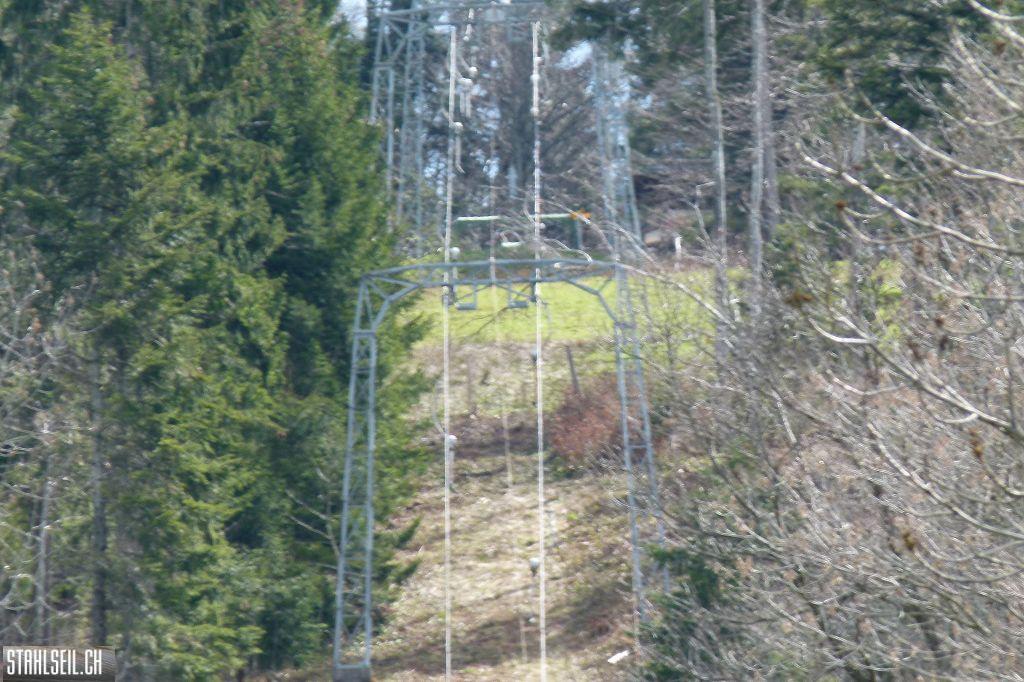 k-P1330158.JPG