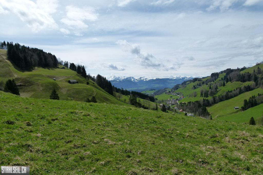 k-P1330187.JPG