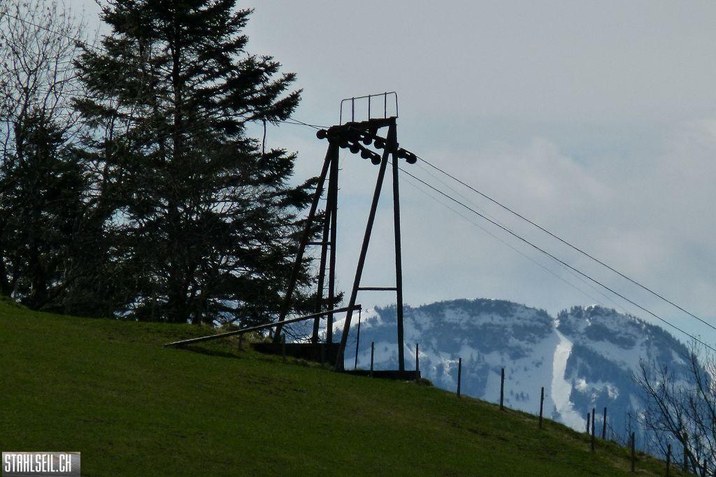 k-P1330189.JPG