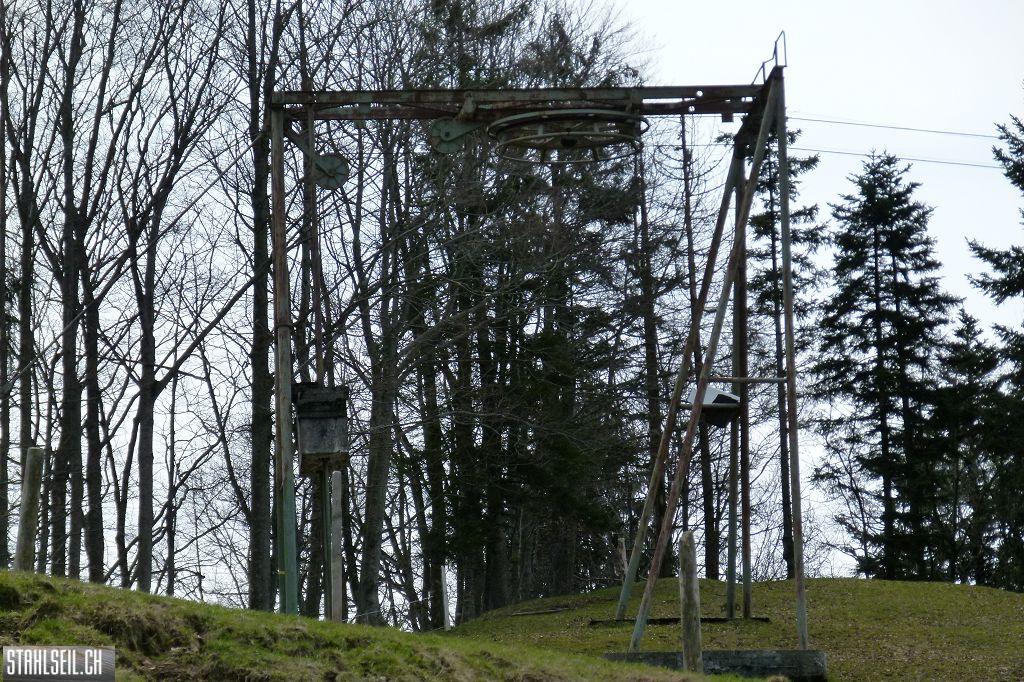 k-P1330190.JPG