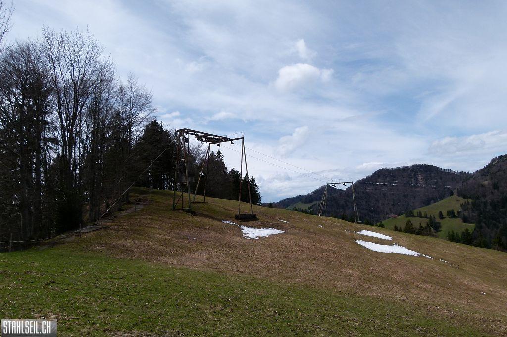 k-P1330194.JPG