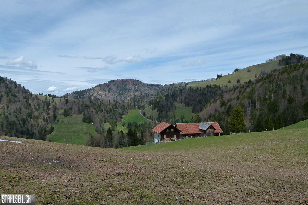 k-P1330197.JPG