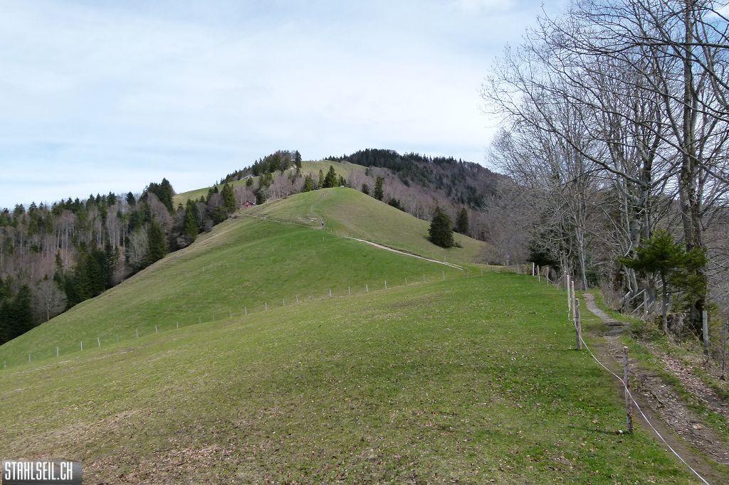 k-P1330198.JPG