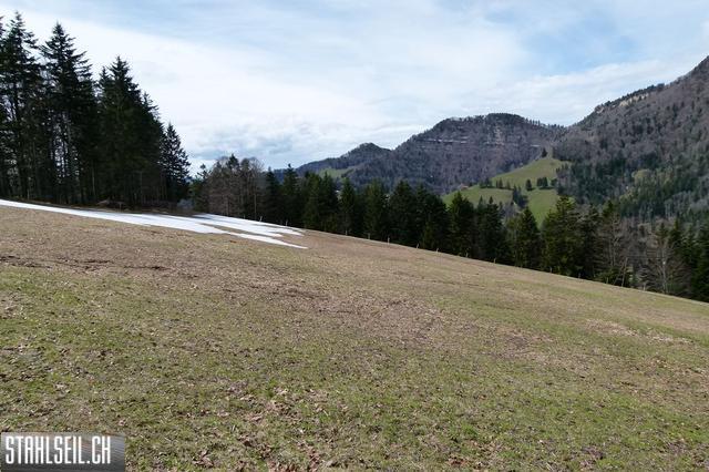 k-P1330242.JPG