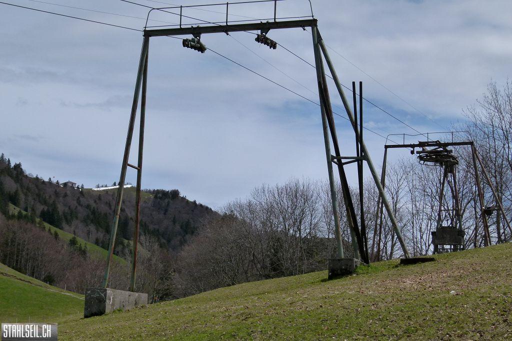 k-P1330243.JPG