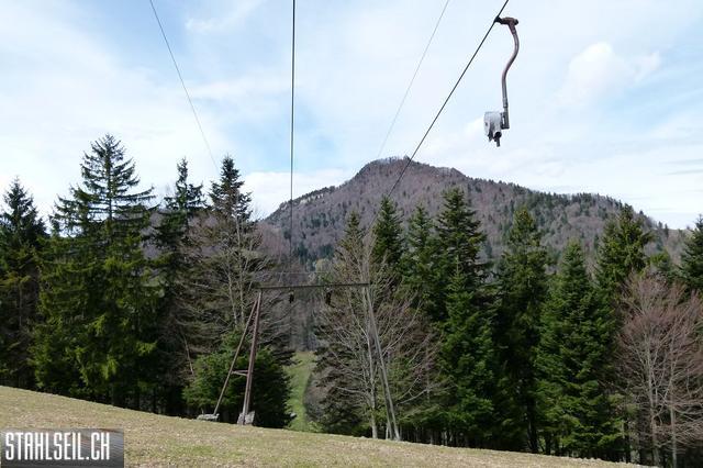 k-P1330247.JPG