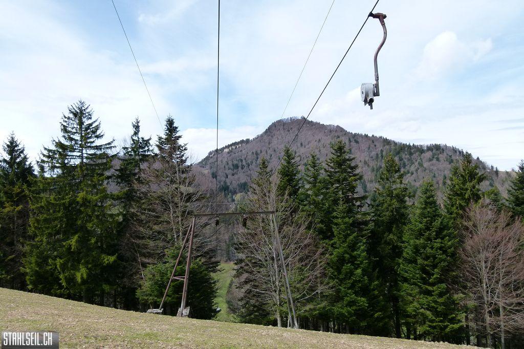k-P1330247.JPG