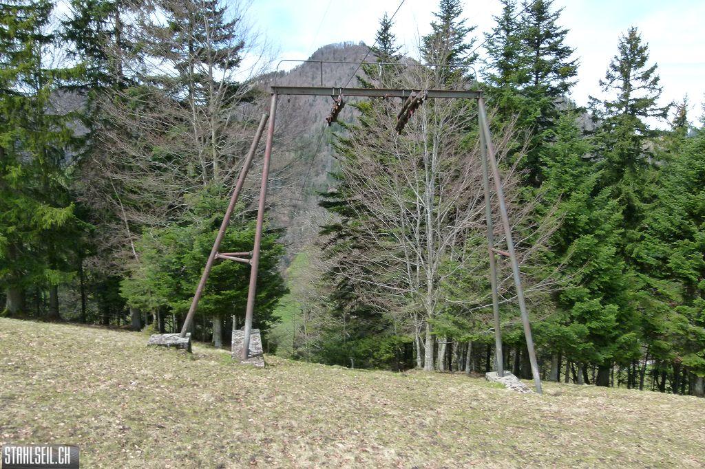 k-P1330253.JPG
