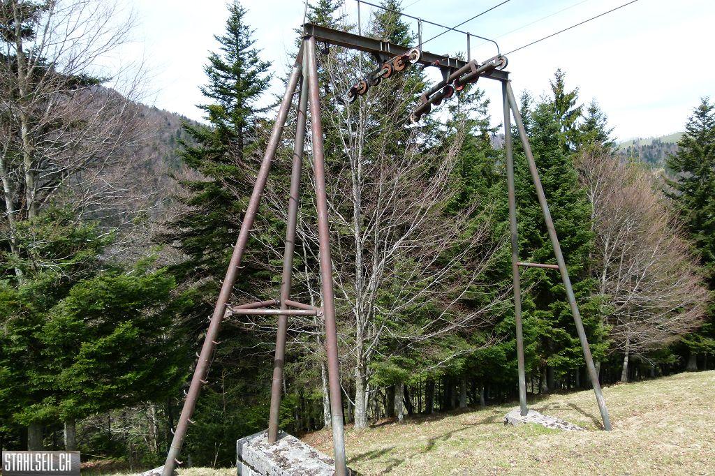 k-P1330255.JPG