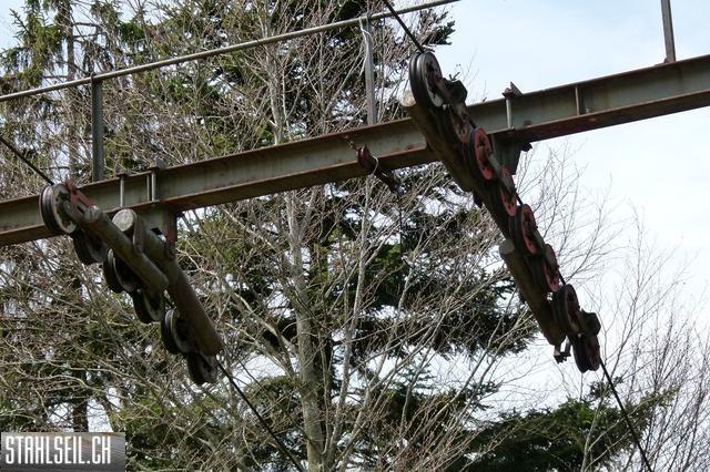 k-P1330261.JPG