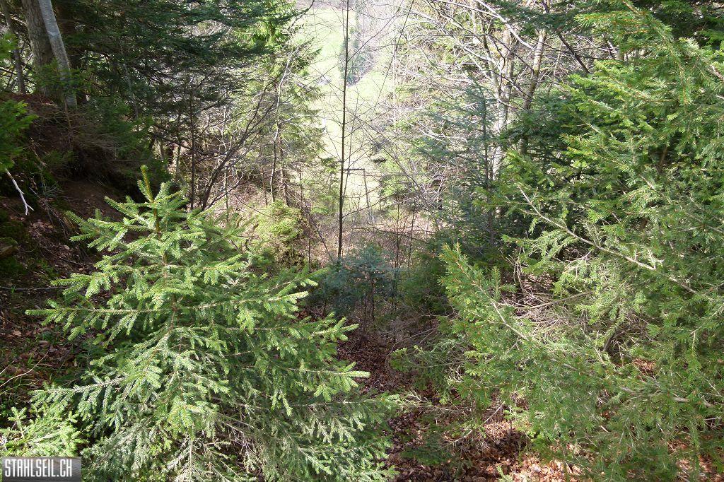 k-P1330264.JPG