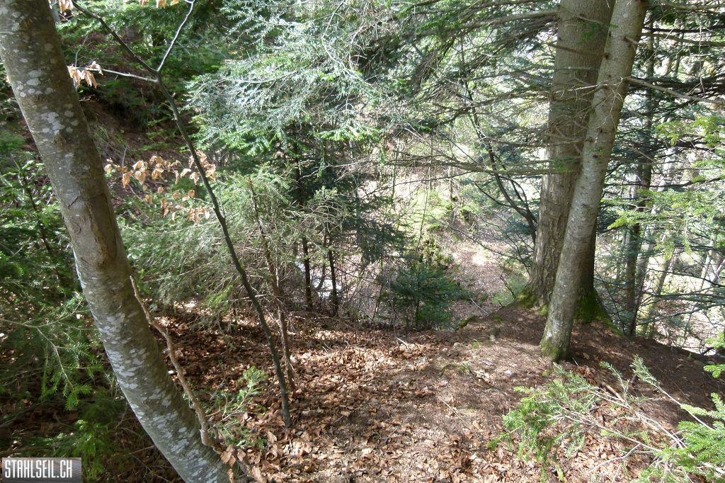 k-P1330267.JPG