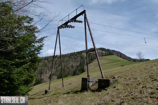 k-P1330269.JPG