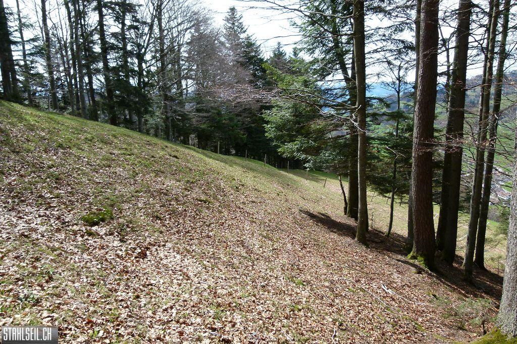 k-P1330271.JPG