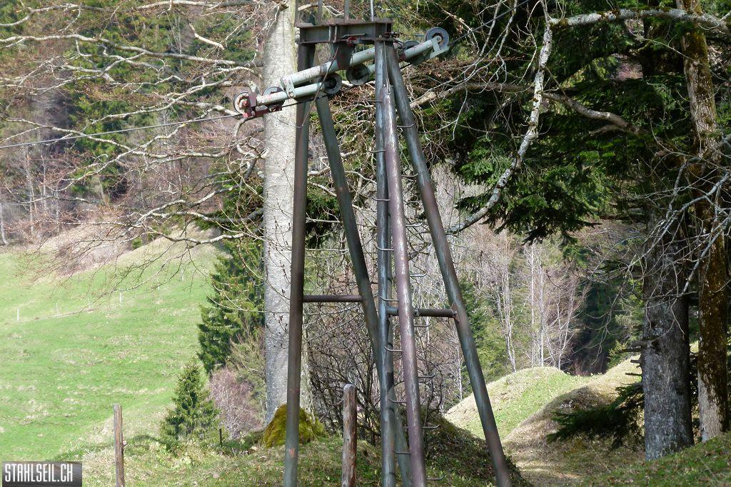 k-P1330272.JPG