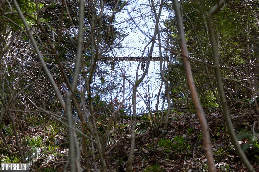 k-P1330282.JPG