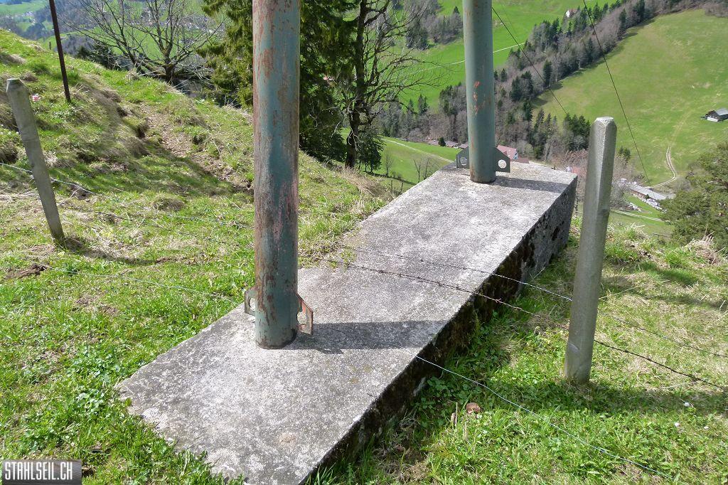 k-P1330300.JPG