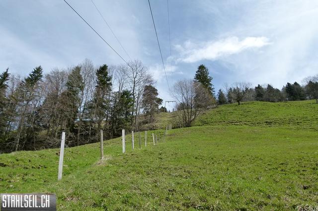 k-P1330334.JPG