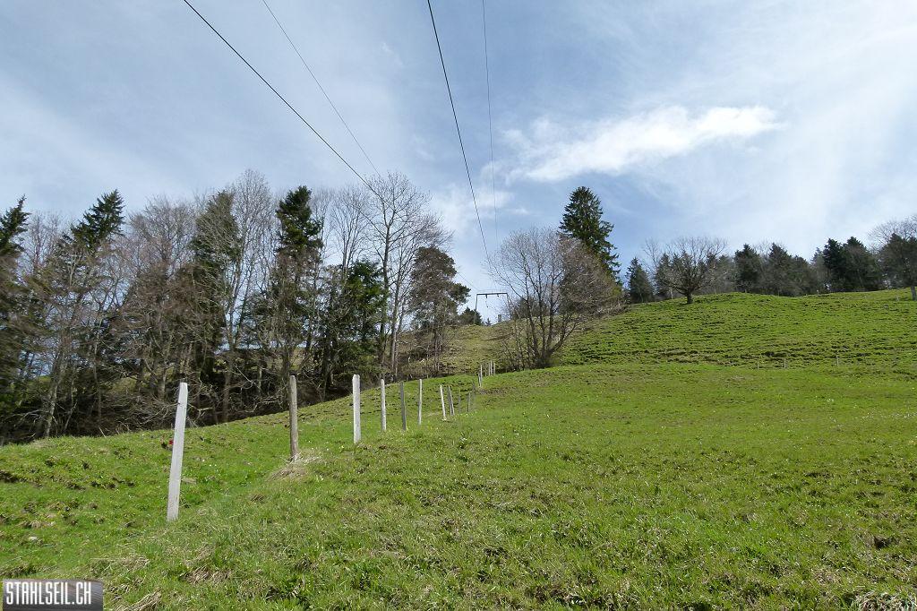 k-P1330334.JPG