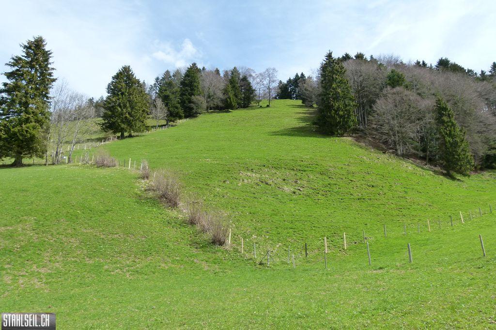 k-P1330345.JPG