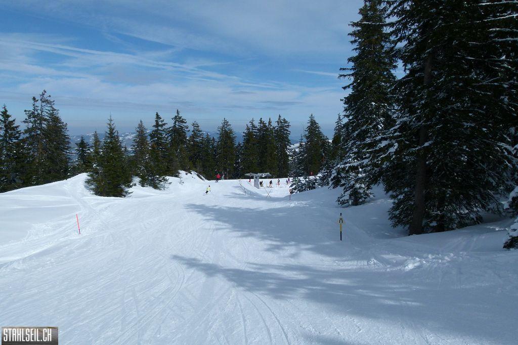 k-P1310210.JPG