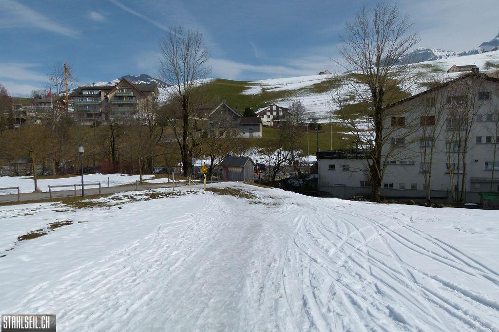 k-P1310279.JPG