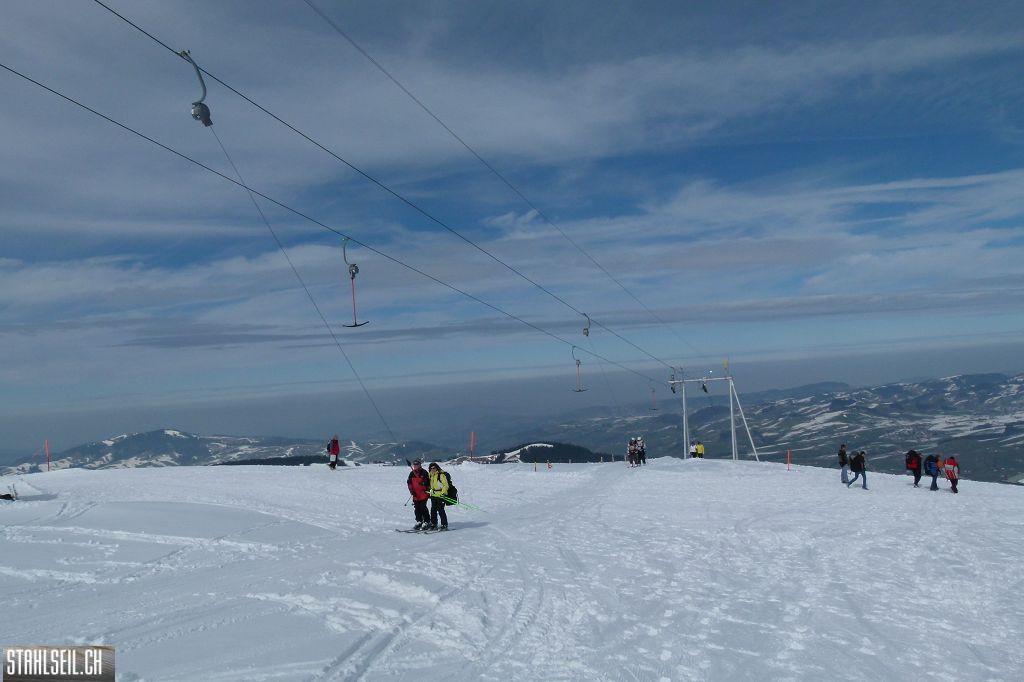 k-P1310241.JPG
