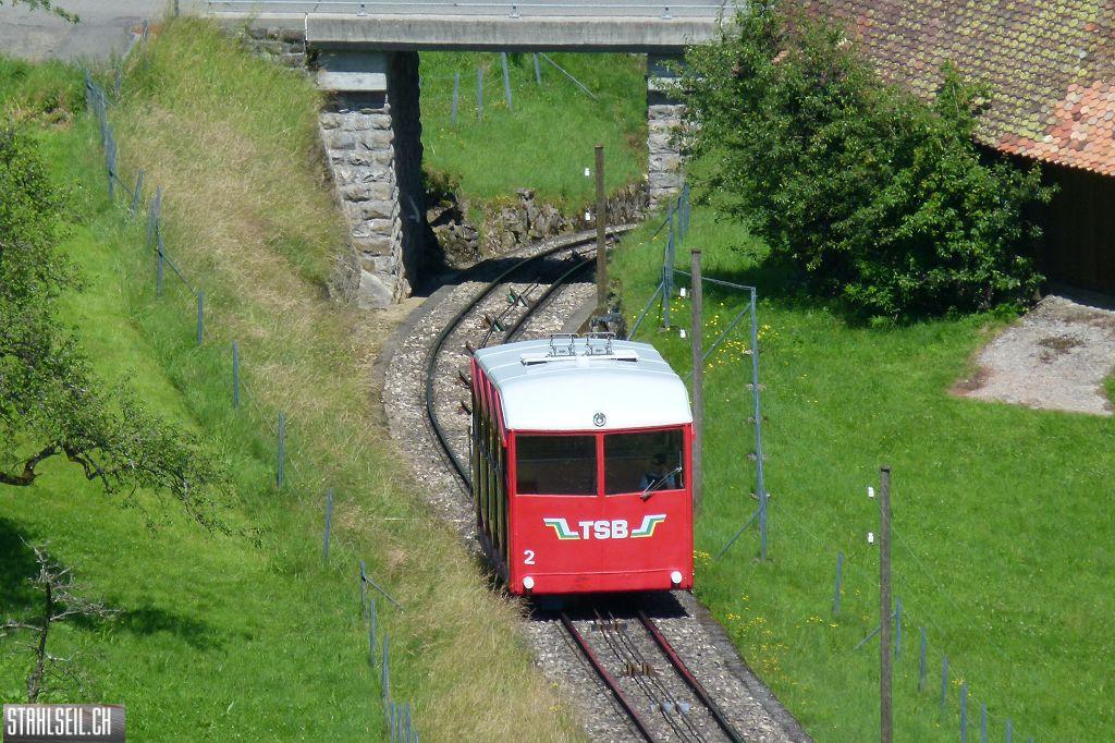k-P1360375.JPG
