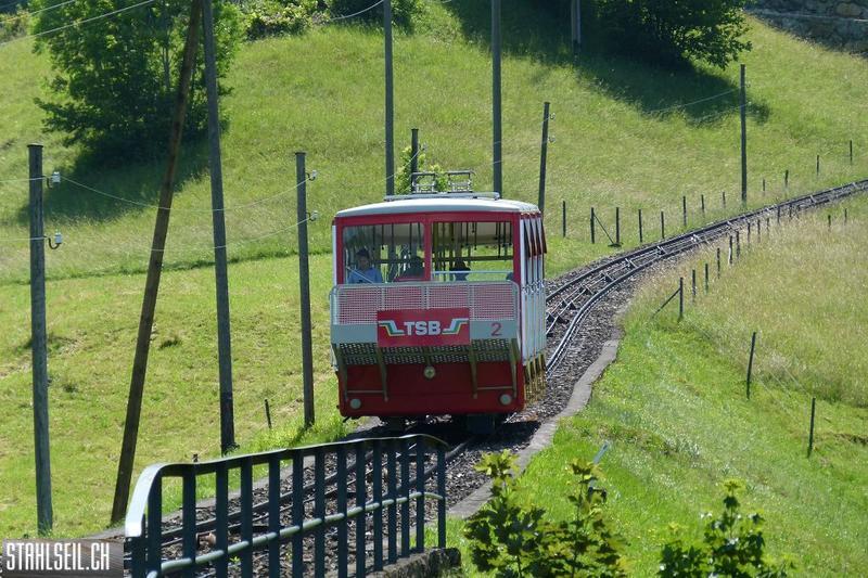 k-P1360416.JPG