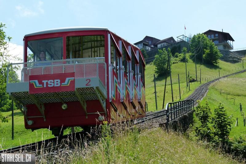 k-P1360420.JPG