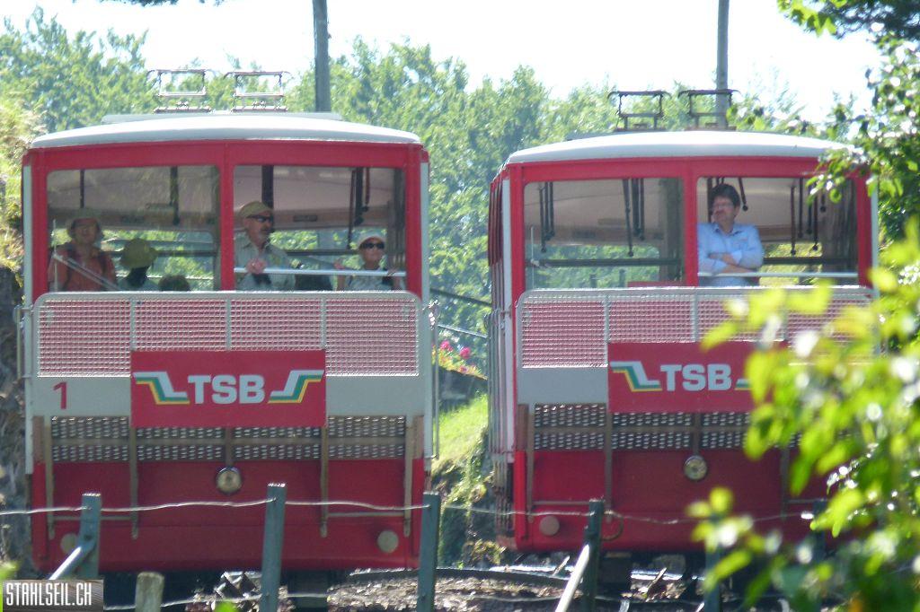 k-P1360438.JPG