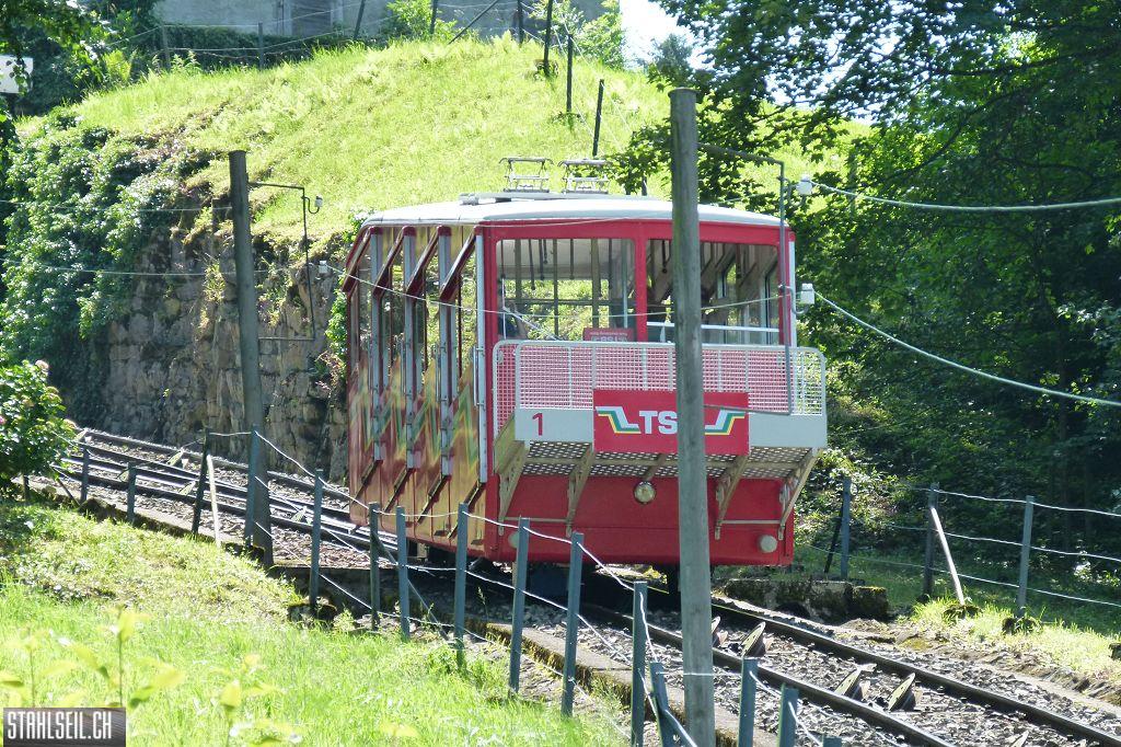 k-P1360447.JPG