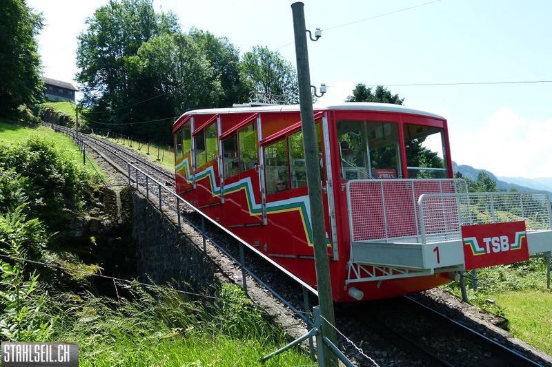 k-P1360450.JPG